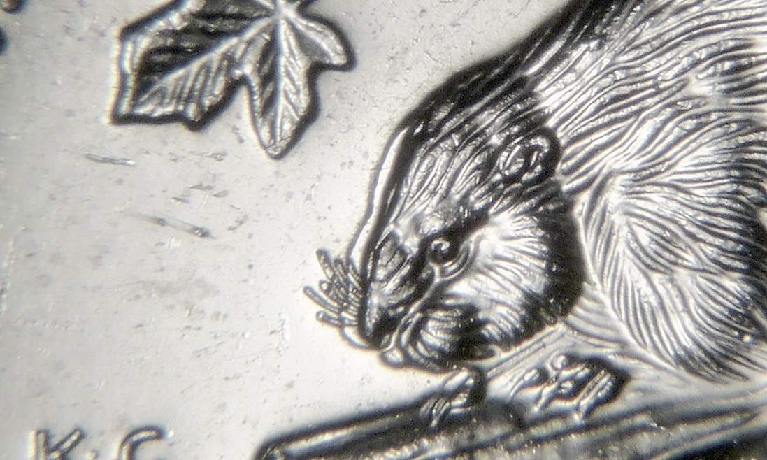 1998,-5-Cents---Double-Beaver-Head